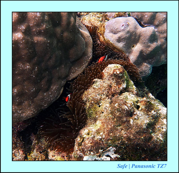 2012 - 07 - Palinton Sanctuary 03